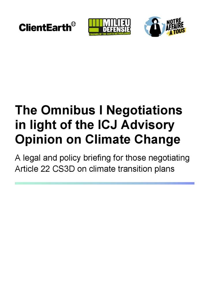 Voorbeeld van de eerste pagina van publicatie 'Afzwakken Omnibus in strijd met internationale jurisprudentie'