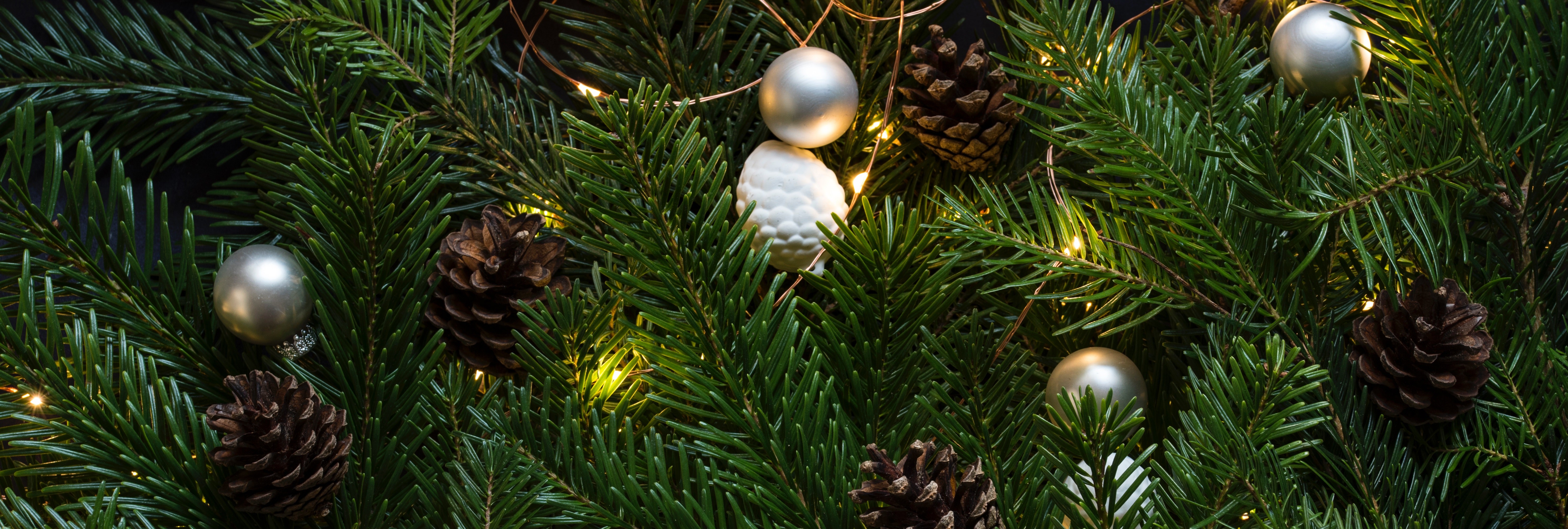 Verniel toewijzing transmissie 5 tips voor een duurzame kerstboom — Milieudefensie
