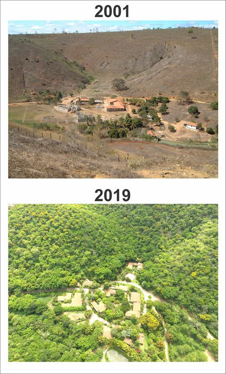 Transformatie van droog naar bos Luchtfoto