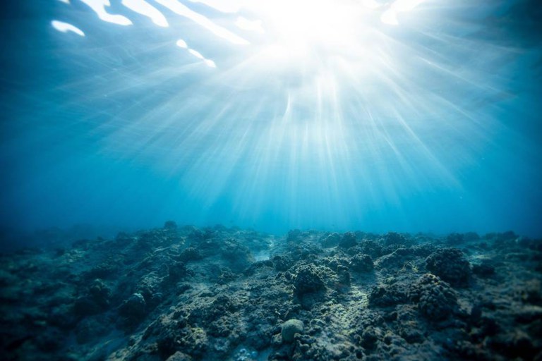 Het Australische Great Barrier Reef heeft de afgelopen zeven jaar vier massale bleekgebeurtenissen meegemaakt, zoals deze in 2017. 
