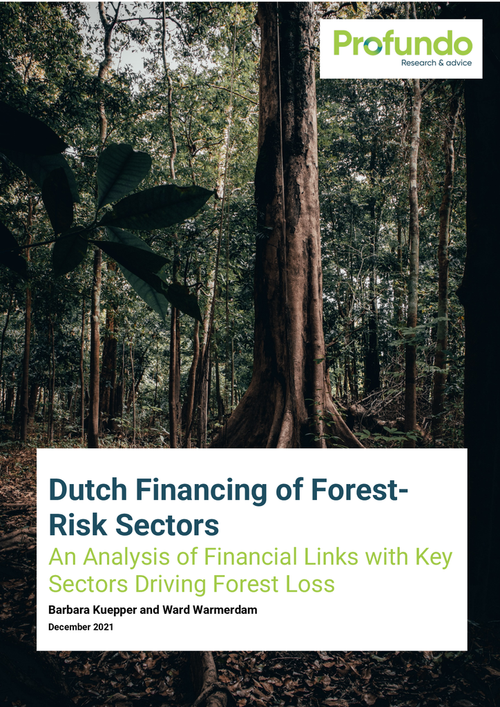 Voorbeeld van de eerste pagina van publicatie 'Achtergrondonderzoek Profundo: de rol van financiële instellingen in ontbossing'