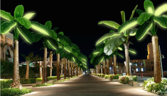 Zonne palmboom
