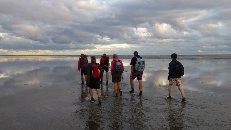 toerist in eigen land: wadlopen in het Hoge Noorden