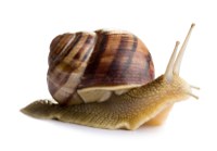 Duurzaam-leven-consuminderen.jpg
