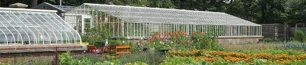 Eyckenstein-tuinderij.jpg