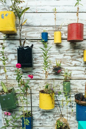 planten en bloemen in verschillende kleuren potten hangen aan een houten schutting. De potten zijn gemaakt van oude verpakkingen van blik en plastic