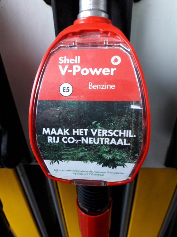 bomen.jpeg