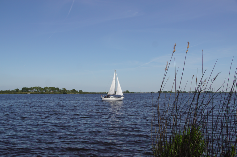 Uitzicht op het Alkmaardermeer met een zeilschip in de buurt van het Nederlandse dorp Akersloot. Nederland, mei