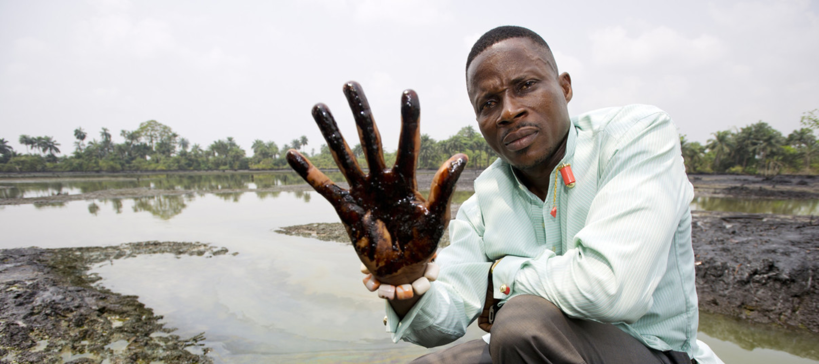 Deskundigenverklaring Joeri Rogelj — Milieudefensie