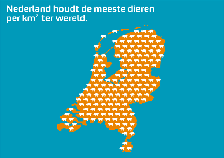 dieren.png