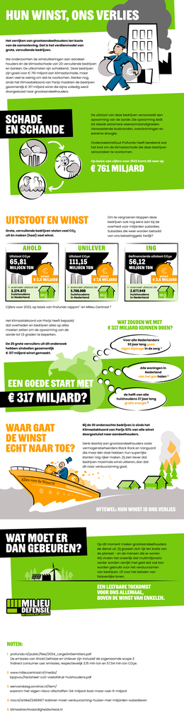 Voorbeeld van de eerste pagina van publicatie 'Factsheet: hun winst, ons verlies'