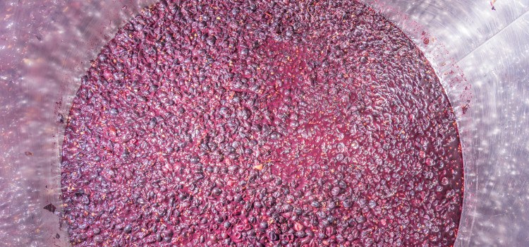fermentatieproces van rode wijn in een stalen tank.