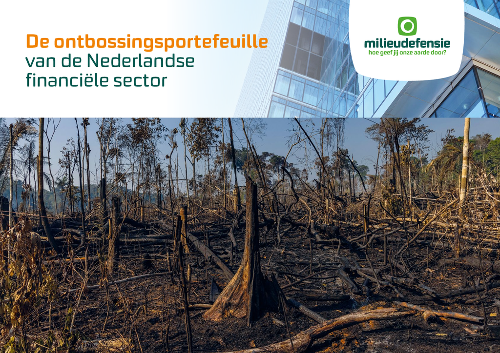 Voorbeeld van de eerste pagina van publicatie 'Hoe de Nederlandse financiële sector bijdraagt aan ontbossing'