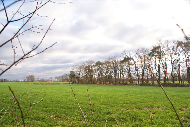 essen landschap 3bew-min.jpg essen landschap 3bew-min.jpg