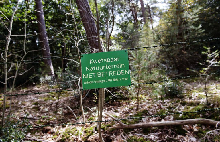 Foto van een stuk bos met prikkeldraad en aan dat prikkeldraad een bordje met de tekst: kwetsbaar natuurgebied, niet betreden.