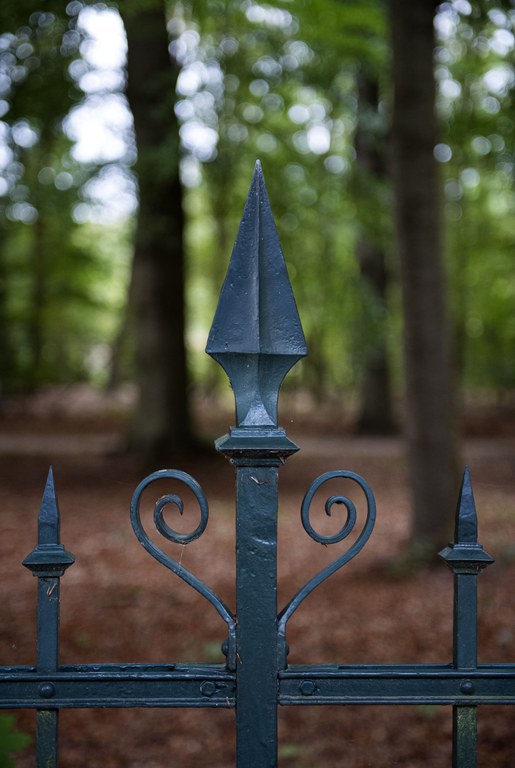 Foto: detail van een hekwerk in het bos.