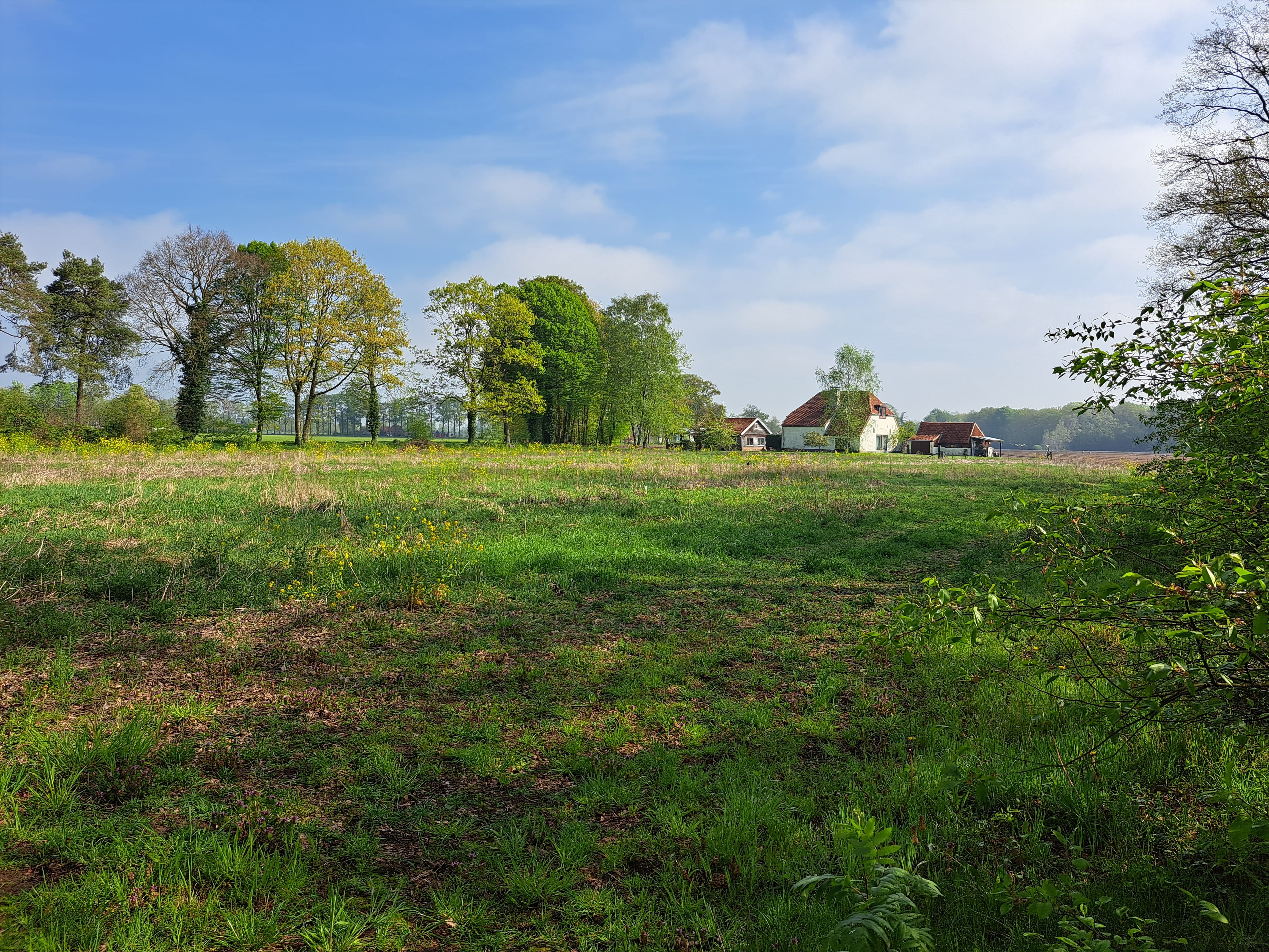 Op Achterhoekse akkers keert de natuur terug