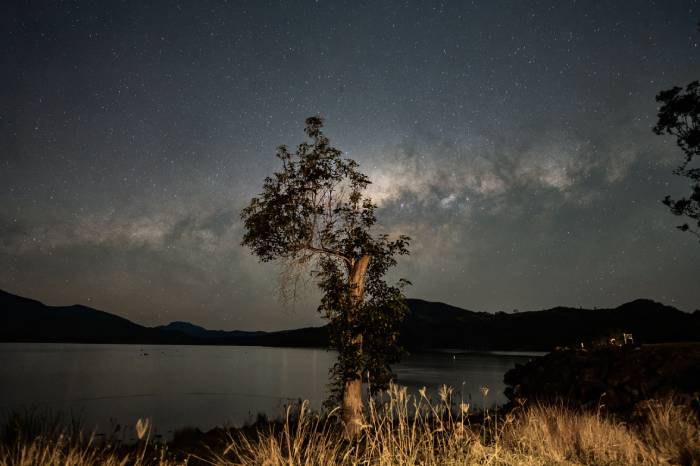Nacht van de Nacht.jpg Een natuurgebied in de nacht