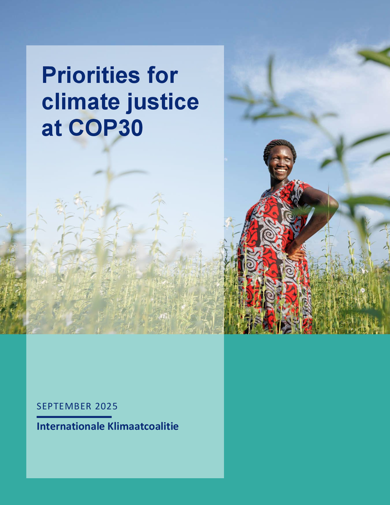 Voorbeeld van de eerste pagina van publicatie 'Priorities for climate justice at COP30'