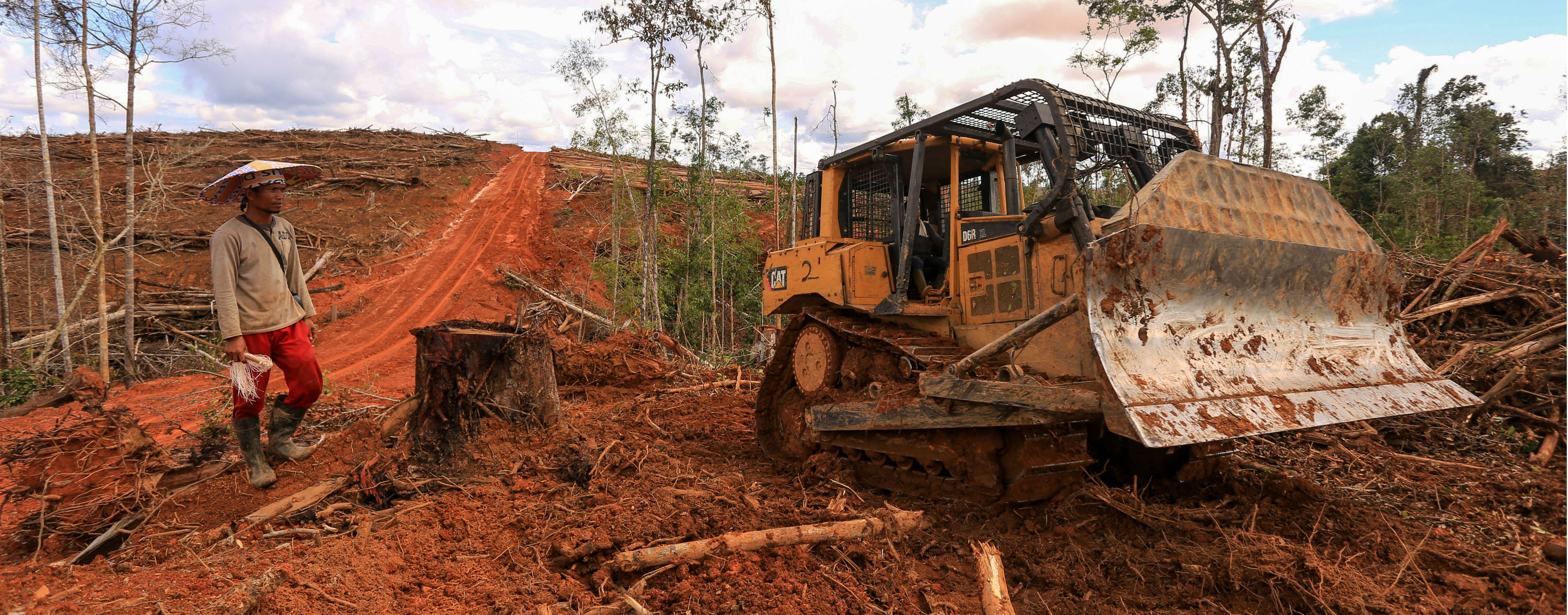 Hutan hujan Papua hancur – Milieudefensie