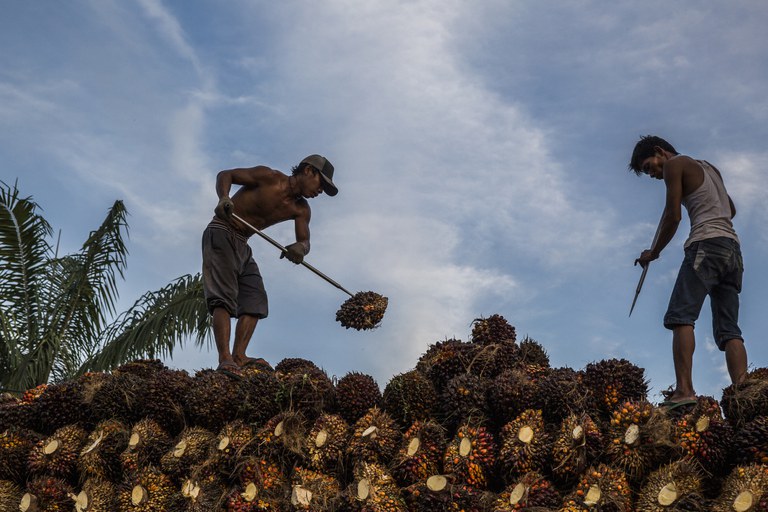RS2497_FOE_RIAU-71-web(1).jpg