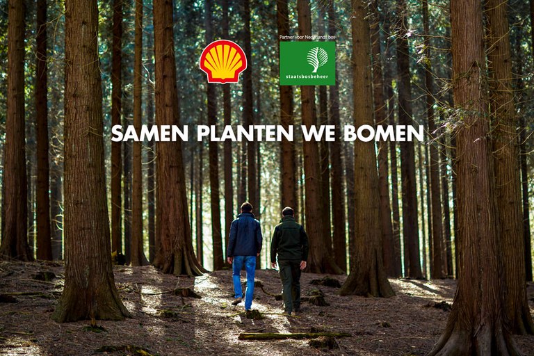 samenwerking-bomen-planten.jpg samenwerking-bomen-planten.jpg