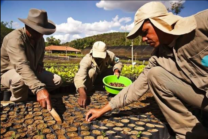 Planting Seeds Planting Seeds