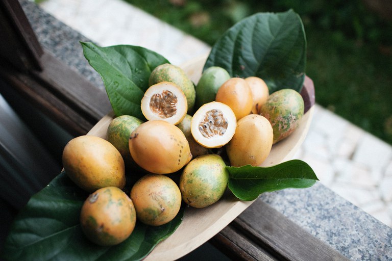 Tropisch fruit.jpg