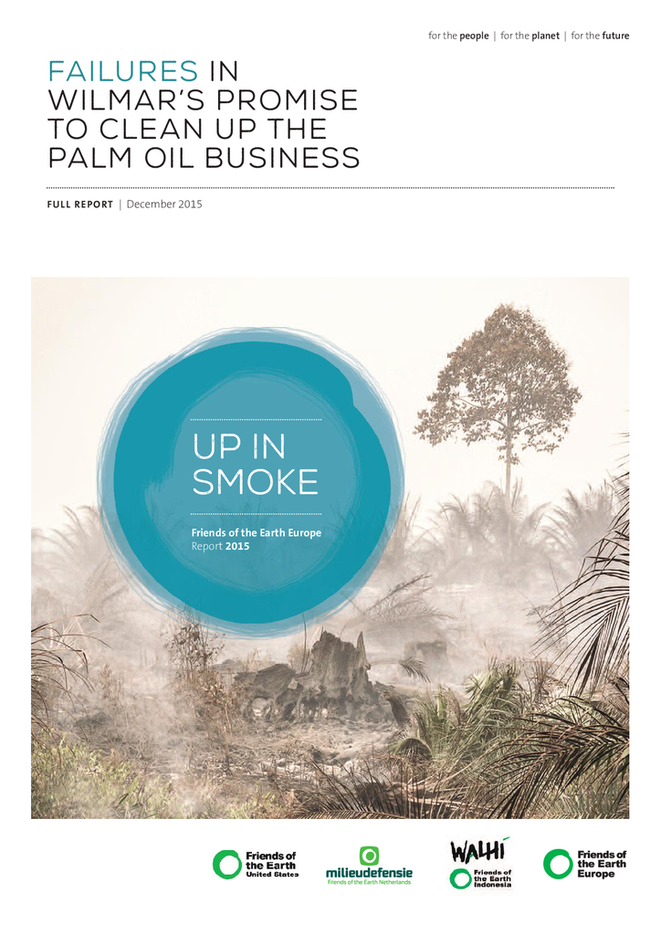 Voorbeeld van de eerste pagina van publicatie 'Up in smoke: Wilmar komt beloften over palmoliewinning niet na'