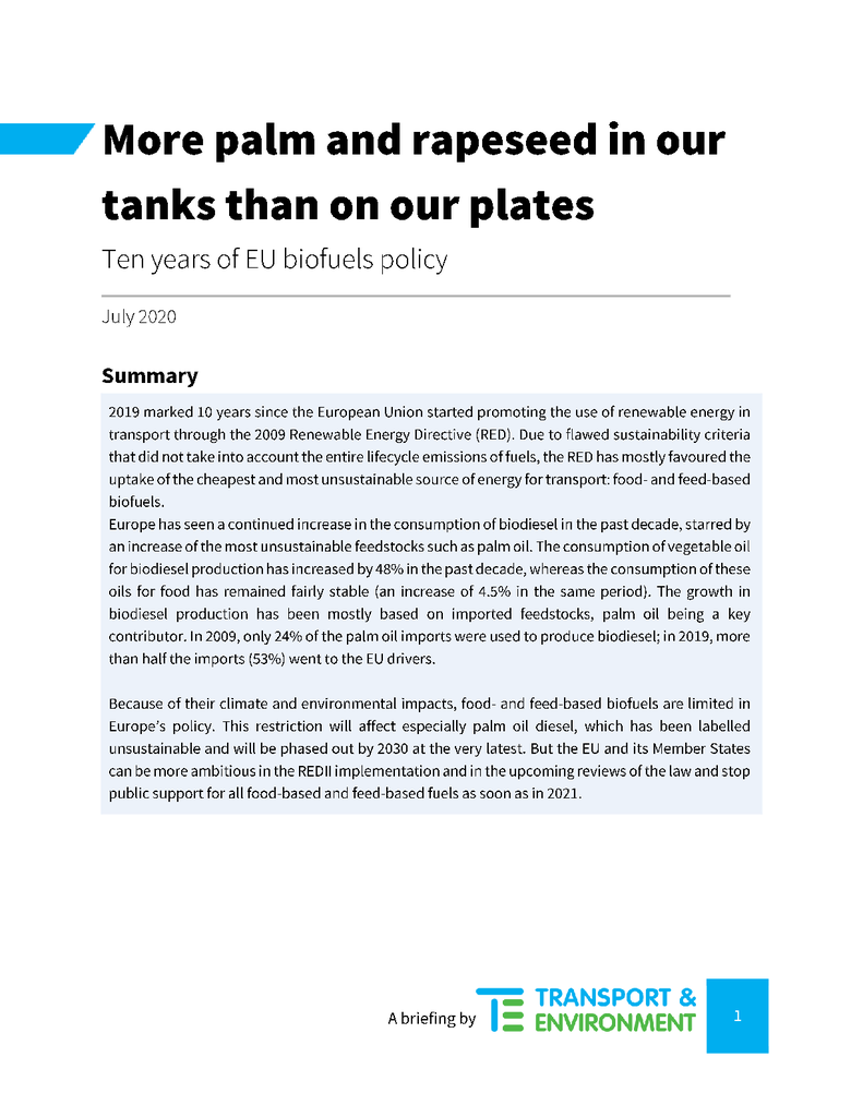 Voorbeeld van de eerste pagina van publicatie 'Recordhoeveelheid biobrandstof uit palmolie verergert klimaatcrisis'