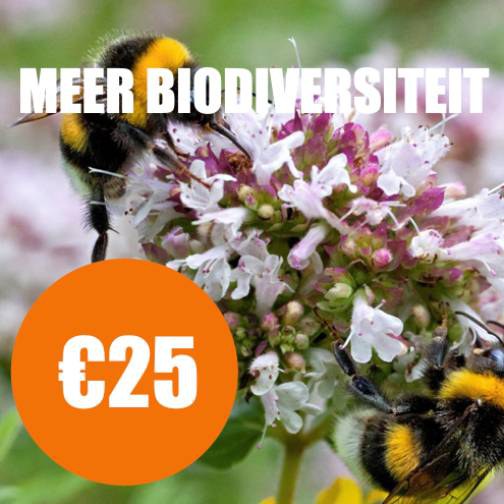 biodiversiteit1.jpg