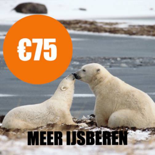 ijsberen.jpg