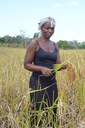 rice field with Christina_Senga2.JPG