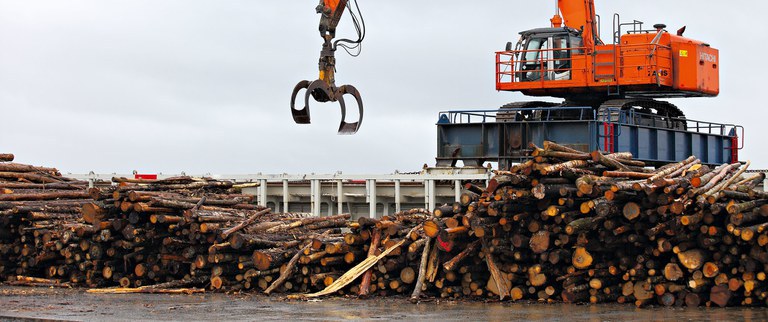 Slechte duurzame oplossingen - biomassa.jpeg Foto van een hijskraan met op de voorgrond een grote stapel boomstammen.