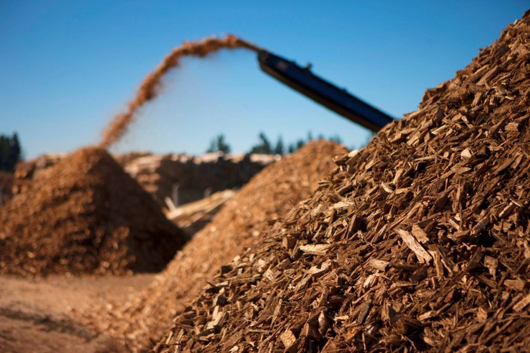 Pellets(1).jpg Pellets(1).jpg
