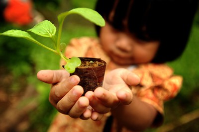 Meisje met kiemplantje - copyright Ricky Martin Meisje met kiemplantje - copyright Ricky Martin